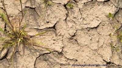Healthy Garden Soil: Preparing & Improving Utah Soil Quality