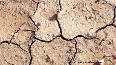 Healthy Garden Soil: Preparing & Improving Utah Soil Quality