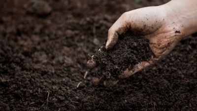 Healthy Garden Soil: Preparing & Improving Utah Soil Quality