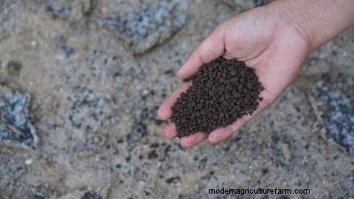 Organic Fertilizers: A Guide to Healthy Plant Growth