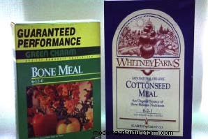 Organic Fertilizers: A Guide to Healthy Plant Growth