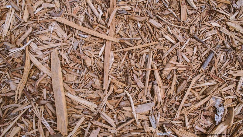Mulch for Utah Landscapes: Benefits, Types & Application