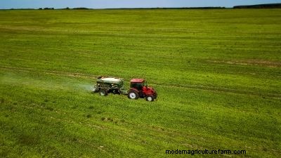 Choosing & Applying Inorganic Fertilizers for Healthy Plants