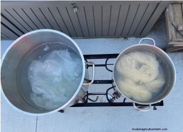 Japanese Indigo Dyeing: From Garden to Fabric - A Comprehensive Guide