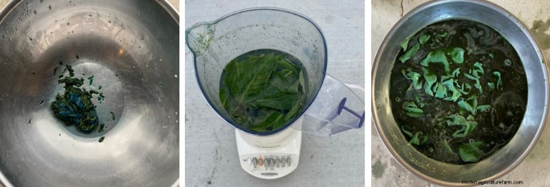 Japanese Indigo Dyeing: From Garden to Fabric - A Comprehensive Guide