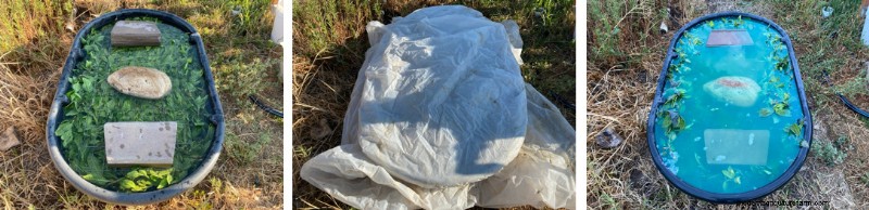 Extracting Indigo Pigment: A Simple Guide for Home Dyers