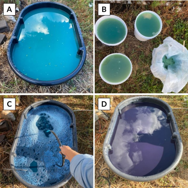 Extracting Indigo Pigment: A Simple Guide for Home Dyers