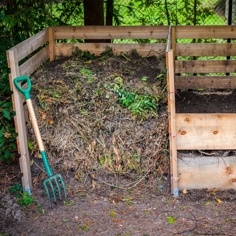 Fall Leaf Mulch: Benefits & How-To for a Healthy Garden