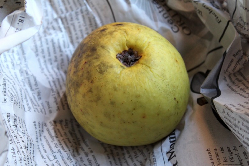 Newton Pippin Apples: Storage, Flavor & Uses | [Your Brand/Site Name]