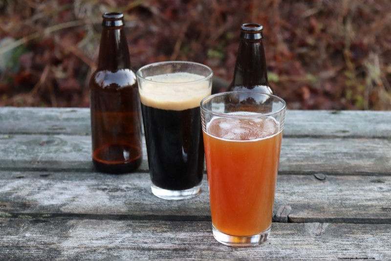 Grow Hops: A Complete Guide for Homebrewers