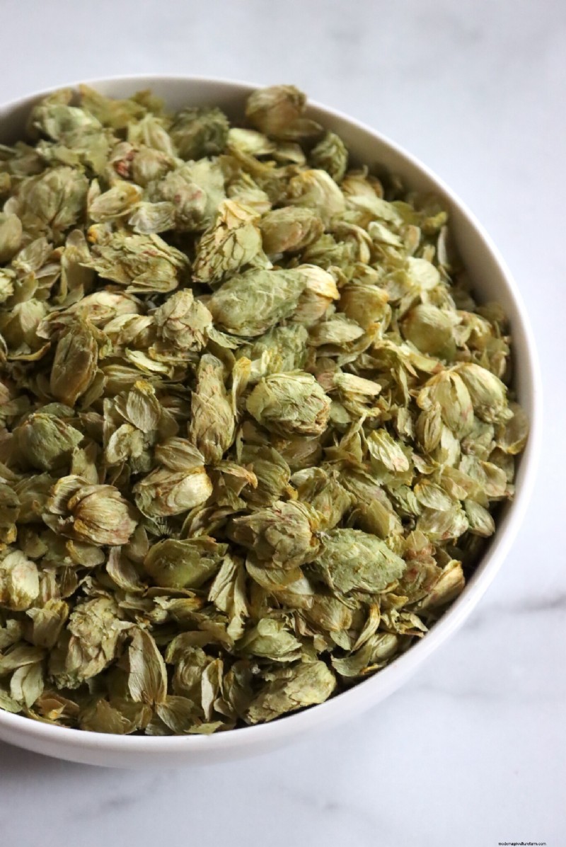 Grow Hops: A Complete Guide for Homebrewers