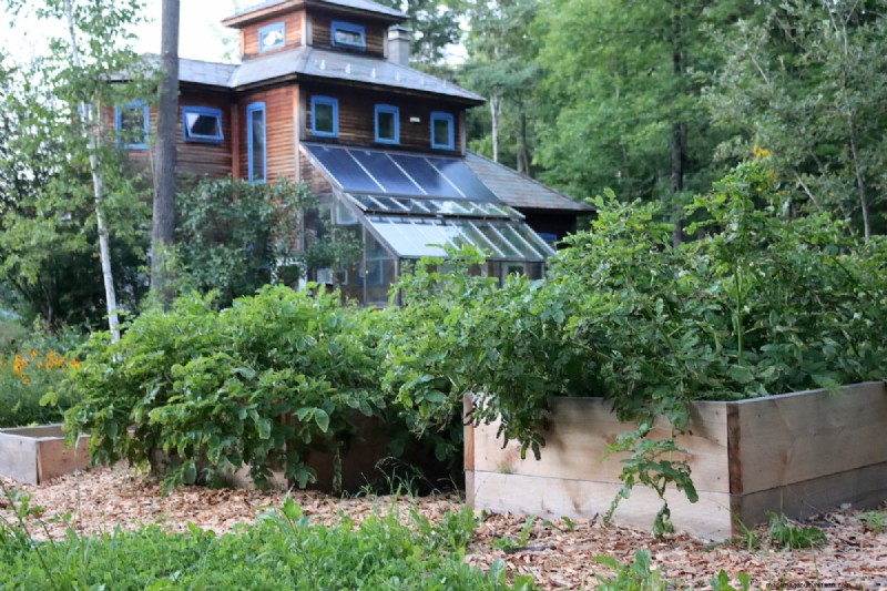 Top Plants for Raised Beds: What to Grow & Avoid