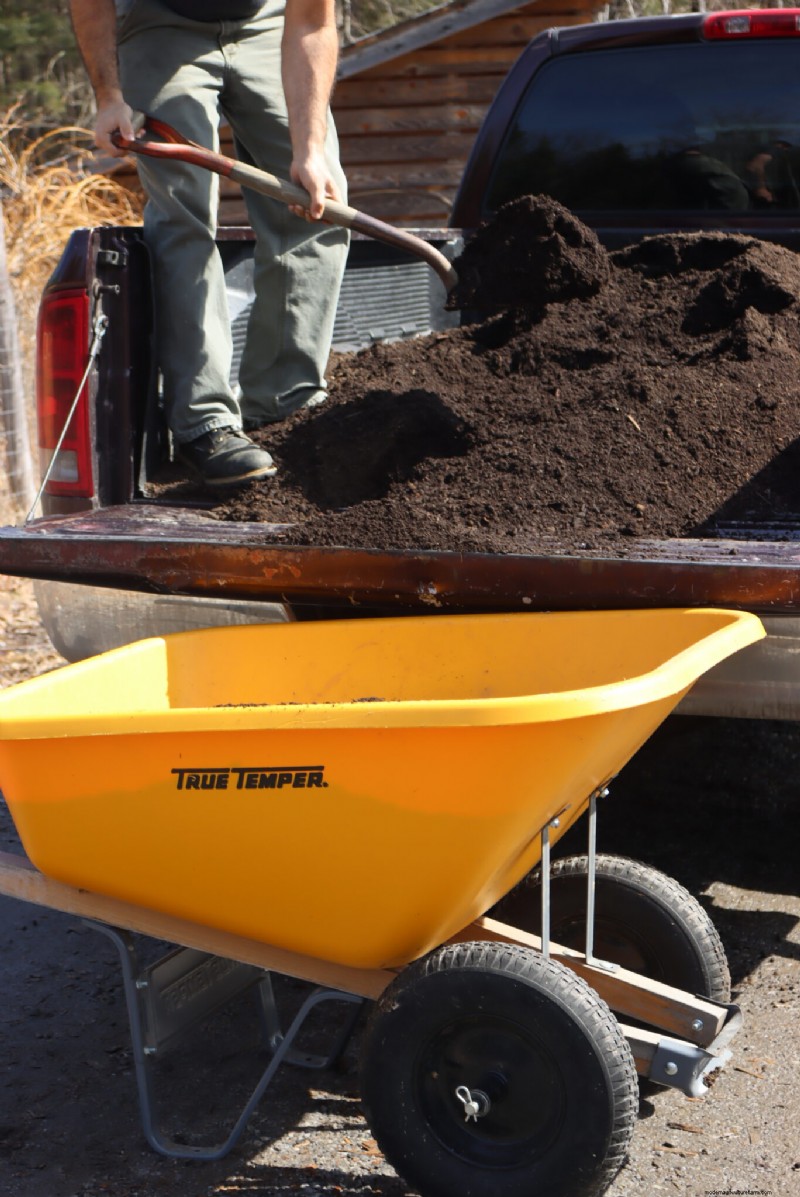 Countertop Composting: A Beginner s Guide to Nutrient-Rich Plant Food