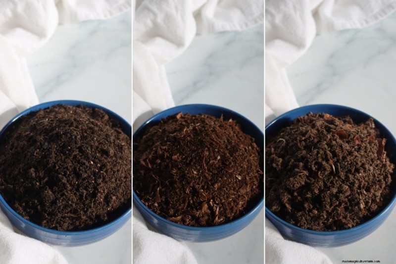 Countertop Composting: A Beginner s Guide to Nutrient-Rich Plant Food