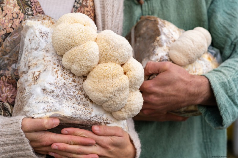 Grow Mushrooms at Home: A Beginner s Guide to Easy Varieties