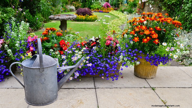 Stylish Birdbaths & Patio Decor | Amazon Finds