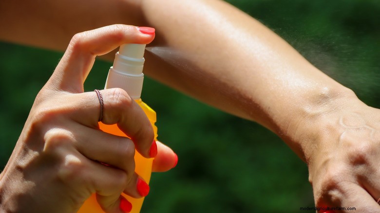 Natural Tick Repellent: A Simple Herbal Solution for Warm Weather