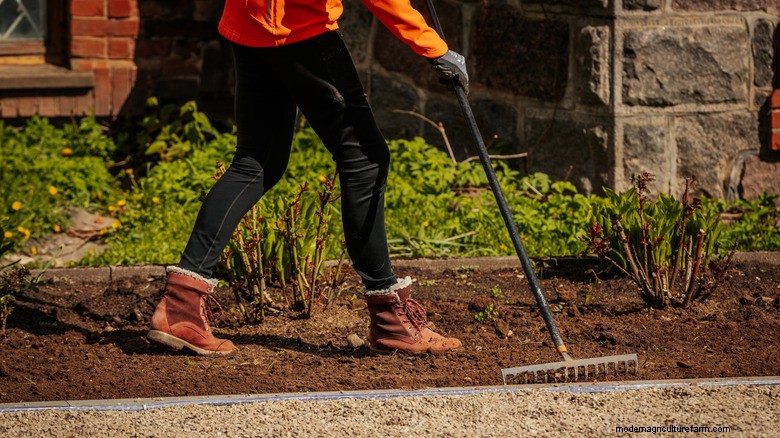Sustainable Mulch Alternatives: Eco-Friendly Landscaping Trends