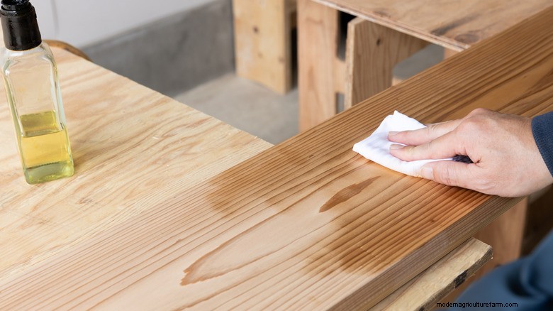 Natural Carpenter Bee Repellent: Keep Wood Structures Safe This Spring