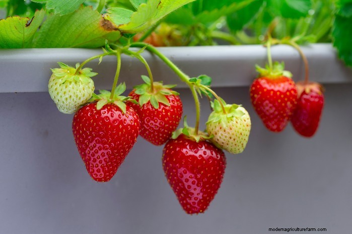 September Planting Guide: Get a Head Start on Your Garden