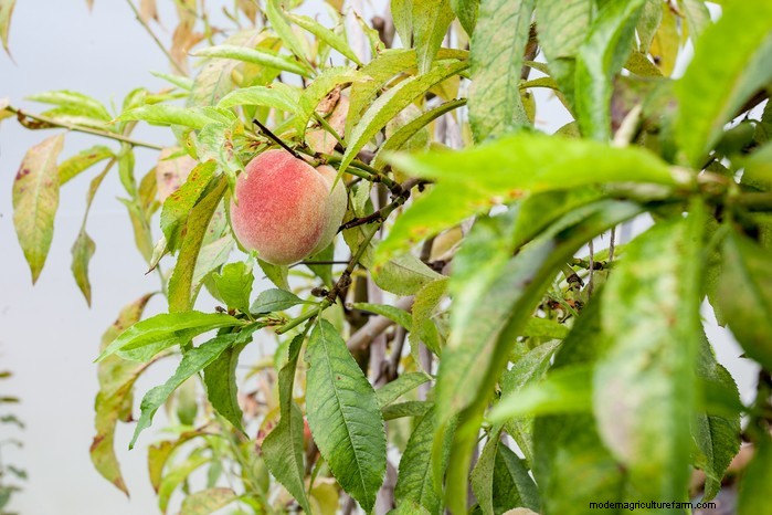 September Planting Guide: Get a Head Start on Your Garden