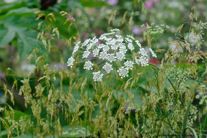 September Planting Guide: Get a Head Start on Your Garden