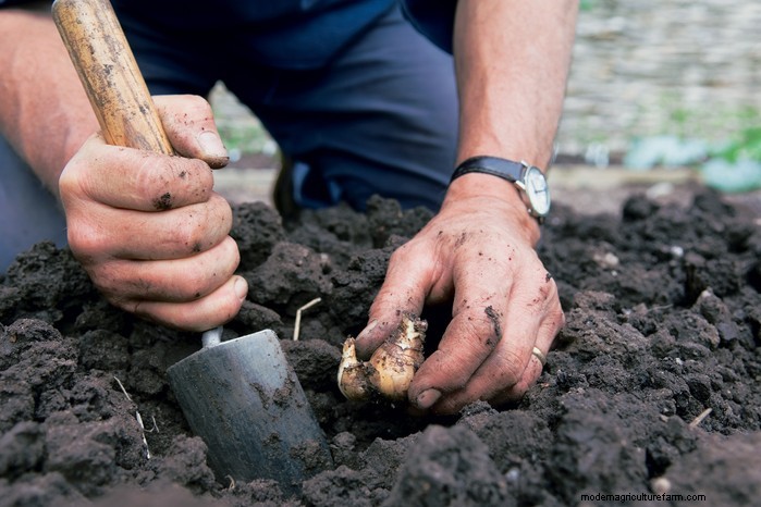 September Planting Guide: Get a Head Start on Your Garden