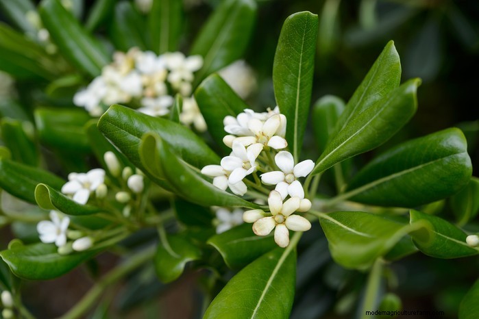 June Planting Guide: What to Sow & Grow Now