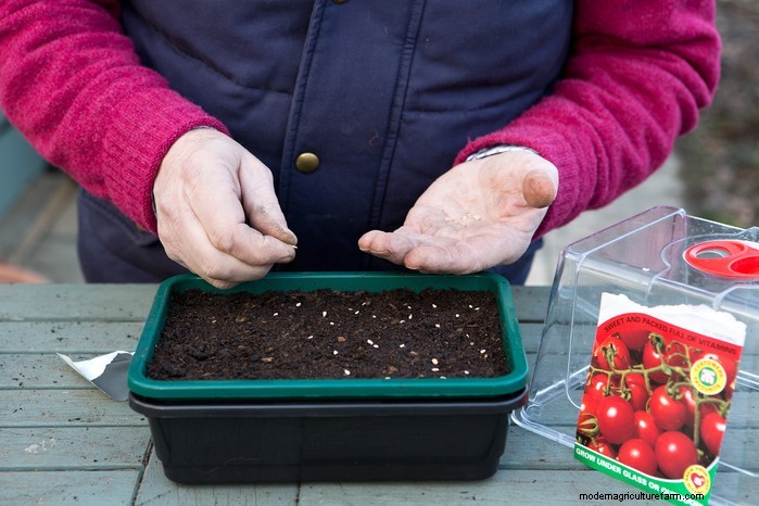 April Planting Guide: What to Sow & Grow in Your UK Garden