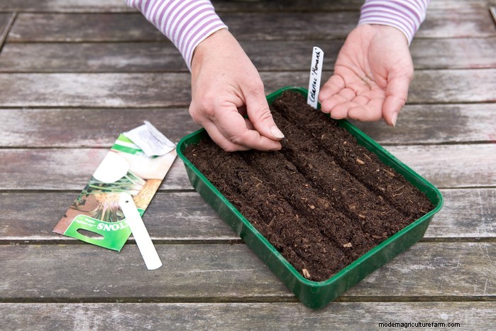 April Planting Guide: What to Sow & Grow in Your UK Garden