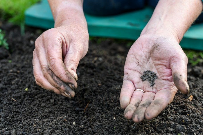 April Planting Guide: What to Sow & Grow in Your UK Garden