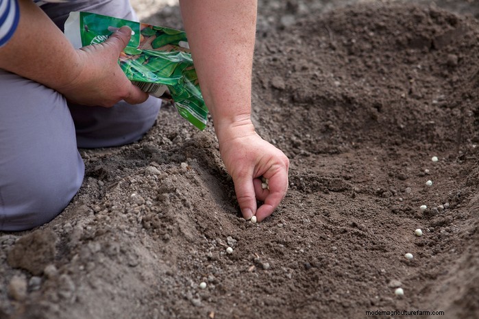 April Planting Guide: What to Sow & Grow in Your UK Garden