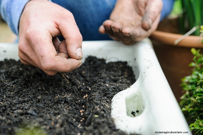 April Planting Guide: What to Sow & Grow in Your UK Garden