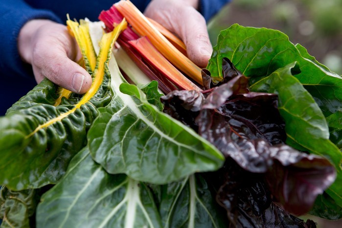April Planting Guide: What to Sow & Grow in Your UK Garden