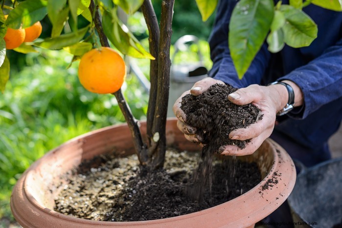April Planting Guide: What to Sow & Grow in Your UK Garden