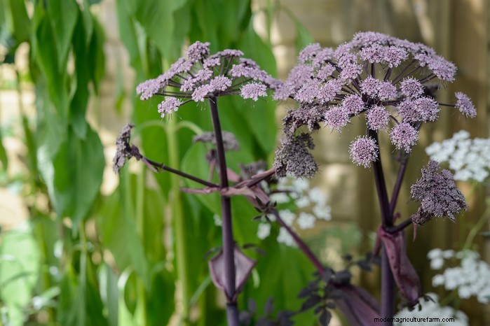 April Planting Guide: What to Sow & Grow in Your UK Garden