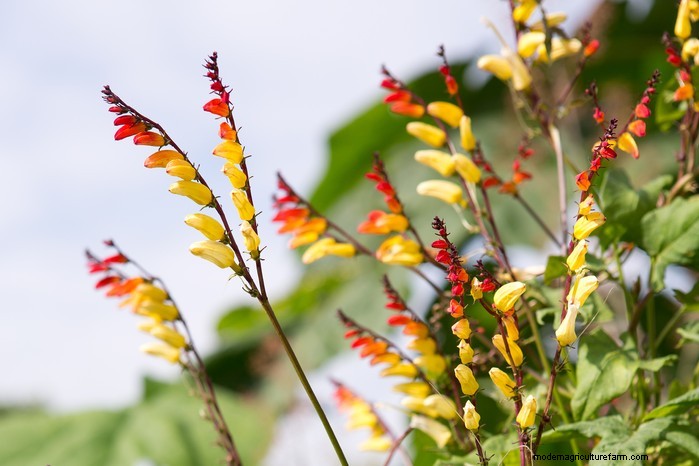 April Planting Guide: What to Sow & Grow in Your UK Garden