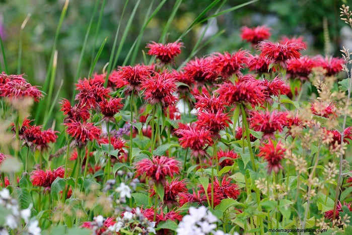 April Planting Guide: What to Sow & Grow in Your UK Garden