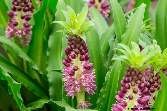 April Planting Guide: What to Sow & Grow in Your UK Garden