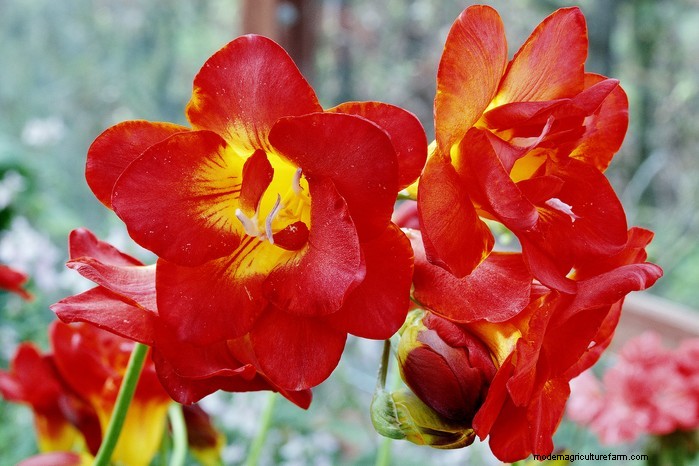 April Planting Guide: What to Sow & Grow in Your UK Garden