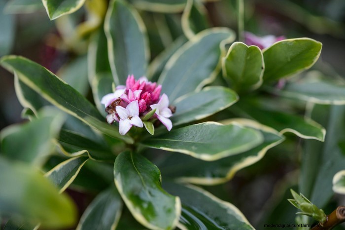 April Planting Guide: What to Sow & Grow in Your UK Garden
