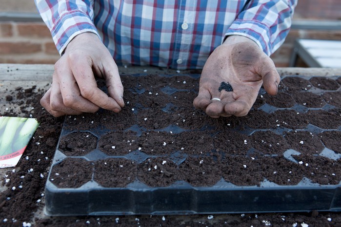 February Planting Guide: Extend Your Growing Season