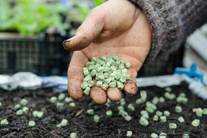 February Planting Guide: Extend Your Growing Season