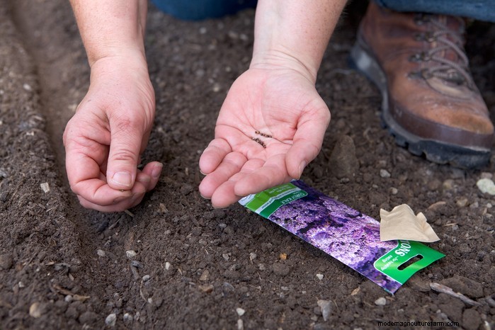 February Planting Guide: Extend Your Growing Season