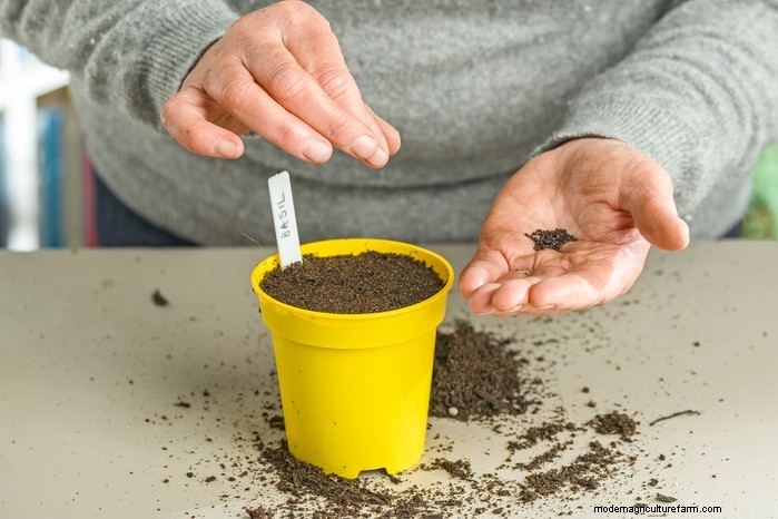 February Planting Guide: Extend Your Growing Season