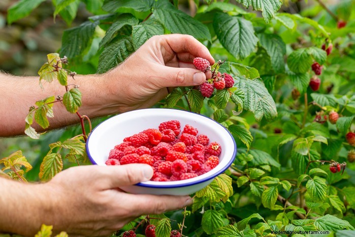 February Planting Guide: Extend Your Growing Season