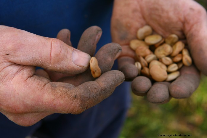 February Planting Guide: Extend Your Growing Season