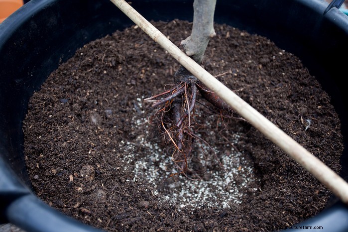 February Planting Guide: Extend Your Growing Season