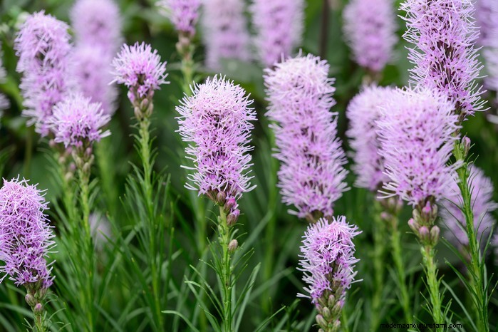 February Planting Guide: Extend Your Growing Season