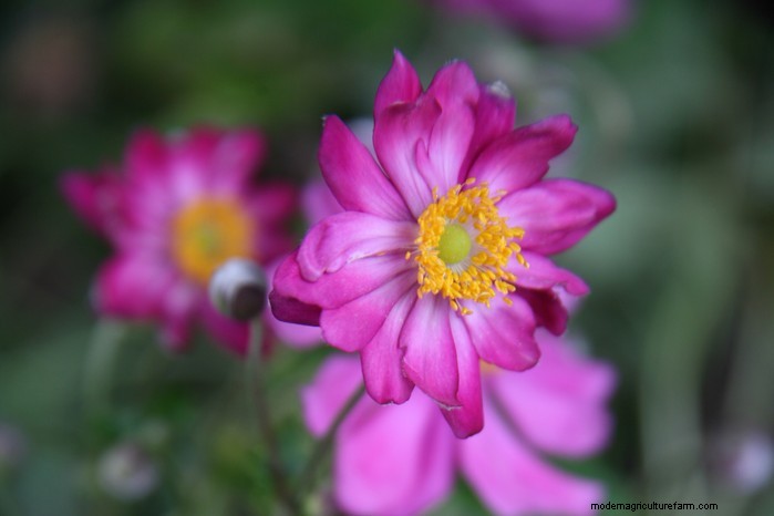 February Planting Guide: Extend Your Growing Season